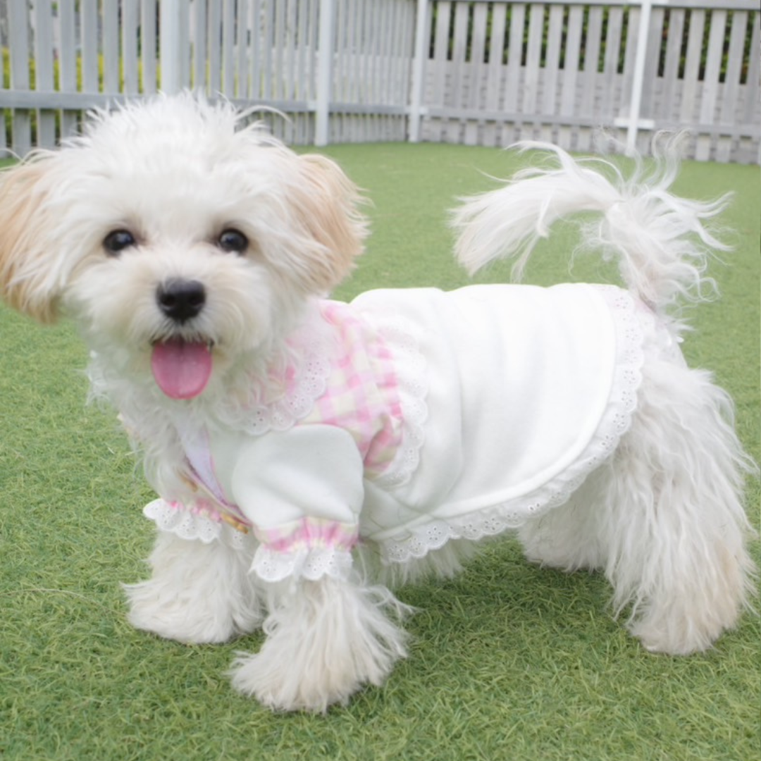 犬服オーダーメイド作品